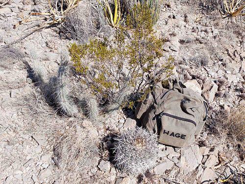 Thelocactus nidulans  tenhle super kousek (ø20cm) by se do batohu zejm veel, ale nechali jsme jej na pokoji. :-) ek tam na dal kaktuse, kte se vyprav do Paily. Lokalita stejn jako na obr. 12-15, bezen 2012.